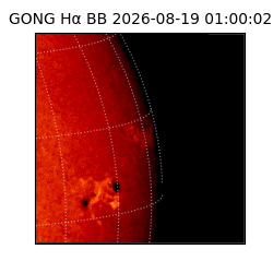 gong - 2026-08-19T01:00:02