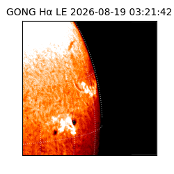 gong - 2026-08-19T03:21:42