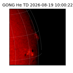gong - 2026-08-19T10:00:22