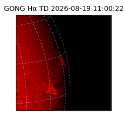 gong - 2026-08-19T11:00:22