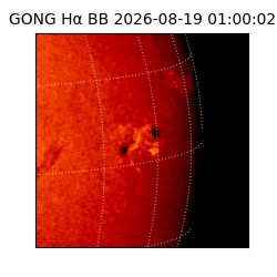 gong - 2026-08-19T01:00:02