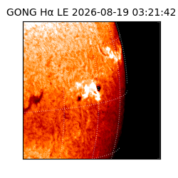 gong - 2026-08-19T03:21:42