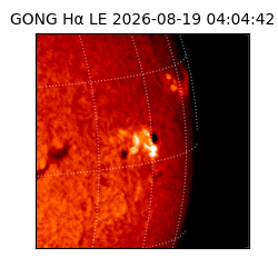 gong - 2026-08-19T04:04:42