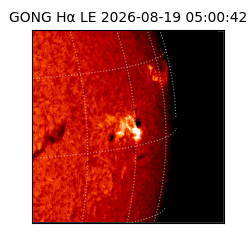 gong - 2026-08-19T05:00:42