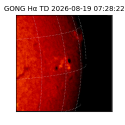 gong - 2026-08-19T07:28:22
