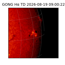 gong - 2026-08-19T09:00:22