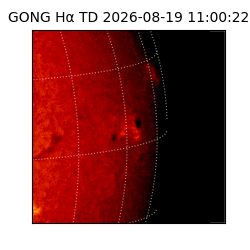 gong - 2026-08-19T11:00:22
