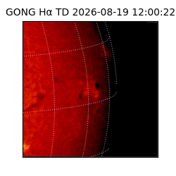 gong - 2026-08-19T12:00:22