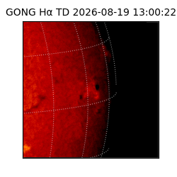 gong - 2026-08-19T13:00:22