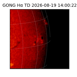 gong - 2026-08-19T14:00:22