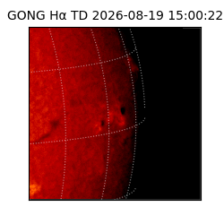 gong - 2026-08-19T15:00:22