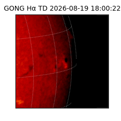 gong - 2026-08-19T18:00:22