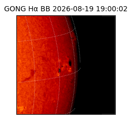 gong - 2026-08-19T19:00:02