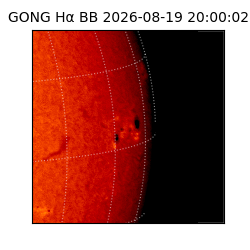 gong - 2026-08-19T20:00:02