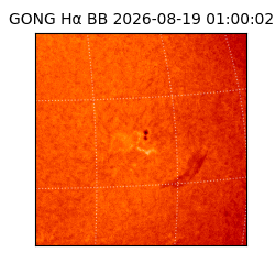 gong - 2026-08-19T01:00:02