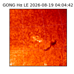gong - 2026-08-19T04:04:42