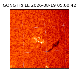 gong - 2026-08-19T05:00:42