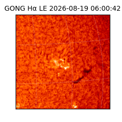 gong - 2026-08-19T06:00:42