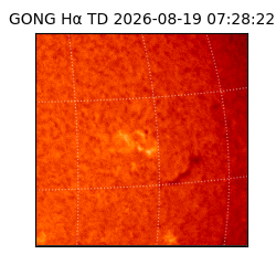 gong - 2026-08-19T07:28:22