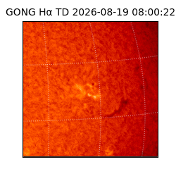 gong - 2026-08-19T08:00:22