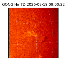 gong - 2026-08-19T09:00:22
