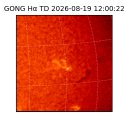 gong - 2026-08-19T12:00:22