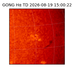 gong - 2026-08-19T15:00:22