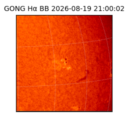 gong - 2026-08-19T21:00:02