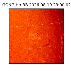 gong - 2026-08-19T23:00:02