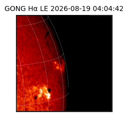 gong - 2026-08-19T04:04:42