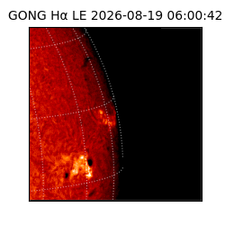 gong - 2026-08-19T06:00:42