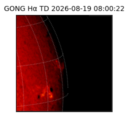 gong - 2026-08-19T08:00:22