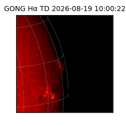 gong - 2026-08-19T10:00:22