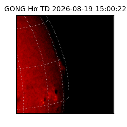 gong - 2026-08-19T15:00:22