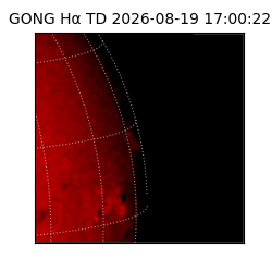 gong - 2026-08-19T17:00:22