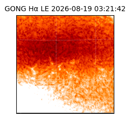 gong - 2026-08-19T03:21:42