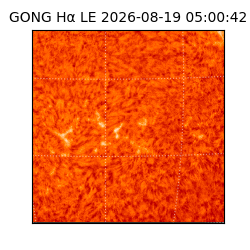 gong - 2026-08-19T05:00:42