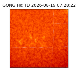 gong - 2026-08-19T07:28:22
