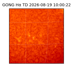 gong - 2026-08-19T10:00:22