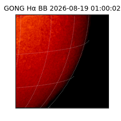 gong - 2026-08-19T01:00:02