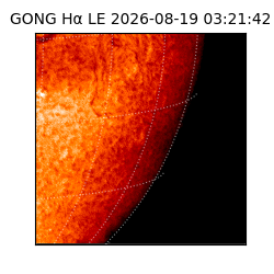 gong - 2026-08-19T03:21:42