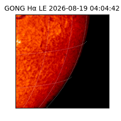 gong - 2026-08-19T04:04:42