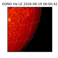 gong - 2026-08-19T06:00:42