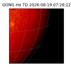 gong - 2026-08-19T07:28:22