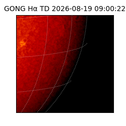 gong - 2026-08-19T09:00:22