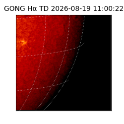 gong - 2026-08-19T11:00:22