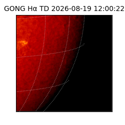 gong - 2026-08-19T12:00:22