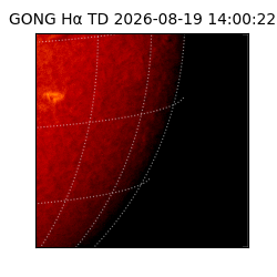 gong - 2026-08-19T14:00:22