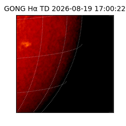 gong - 2026-08-19T17:00:22