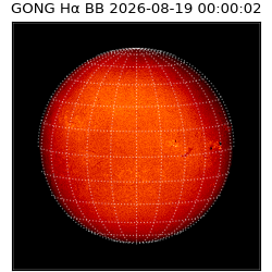 gong - 2026-08-19T00:00:02